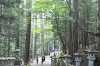 三峯神社の写真・動画_image_641571