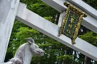 三峯神社の写真・動画_image_641573