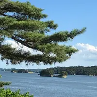 松島の写真・動画_image_680744