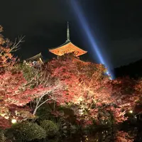京都の写真・動画_image_691898