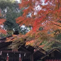 京都の写真・動画_image_691899
