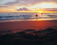 Waikiki Beach（ワイキキ・ビーチ）の写真・動画_image_694614