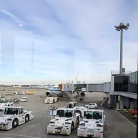 成田空港第1ターミナル第4サテライト ANA DUTY & TAX FREE SHOPの写真・動画_image_702605