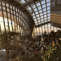 スカイ・ガーデンの写真・動画_image_705051