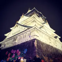 大阪城の写真・動画_image_707124