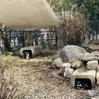 熊本市動植物園の写真・動画_image_710164