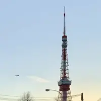 東京タワーの写真・動画_image_722767