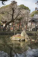 奈良の写真・動画_image_724887