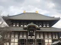 奈良の写真・動画_image_724893