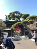 鎌倉の写真・動画_image_725997