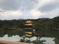 京都の写真・動画_image_732473