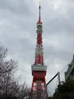 東京タワーの写真・動画_image_734123