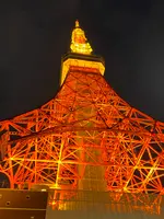 東京タワーの写真・動画_image_734126