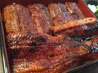 うなぎ料理 あつみの写真・動画_image_737186