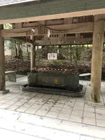 天岩戸神社の写真・動画_image_744712