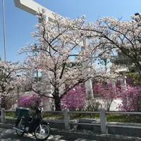 神呪寺（甲山大師）の写真・動画_image_752997