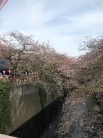 宿山橋の写真・動画_image_766132