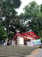 江島神社 大鳥居の写真・動画_image_773937