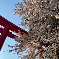 安住神社 バイク神社の写真・動画_image_777216