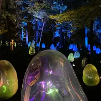 武蔵野樹林パークの写真・動画_image_785853
