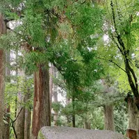 大本山永平寺の写真・動画_image_787950