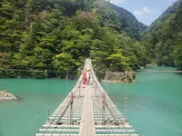 夢の吊橋の写真・動画_image_795126