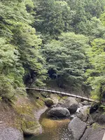 袋田の滝の写真・動画_image_800227