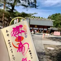 櫻木神社の写真・動画_image_821353