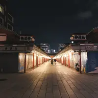 浅草寺の写真・動画_image_839053