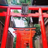 堀越神社(大阪)の写真・動画_image_846685