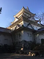 大垣城の写真・動画_image_847948