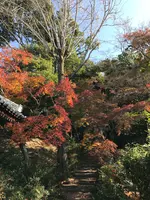 石峰寺の写真・動画_image_848741