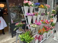 hananeの写真・動画_image_854302