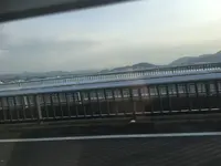 琵琶湖の写真・動画_image_866393