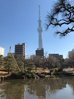 隅田公園の写真・動画_image_868764
