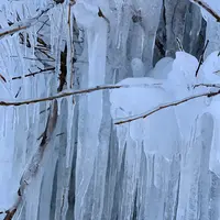 氷瀑・湧水公園の写真・動画_image_871085