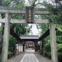 和田神社の写真・動画_image_871698