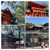 武蔵一宮 氷川神社の写真・動画_image_875010