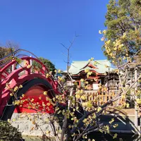 亀戸天神社の写真・動画_image_878288