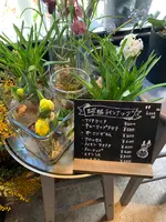 hananeの写真・動画_image_882791