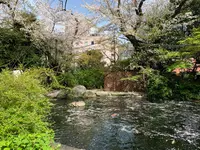 愛宕神社の写真・動画_image_898863