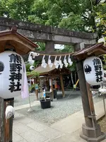 川越熊野神社の写真・動画_image_915943