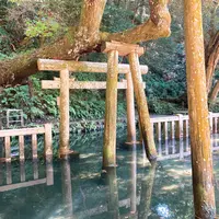 鹿島神宮の写真・動画_image_949300