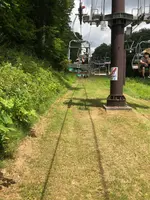 たんばらラベンダーパークの写真・動画_image_959586