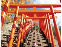 大島神社の写真・動画_image_975583