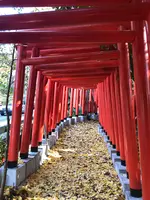 石浦神社の写真・動画_image_989136