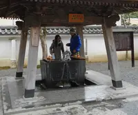 修禅寺の写真・動画_image_18026