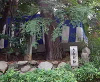 安居神社の写真・動画_image_94768