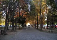 学びの森の写真・動画_image_21670