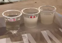 伊東 (日本酒「敷嶋」)の写真・動画_image_752615